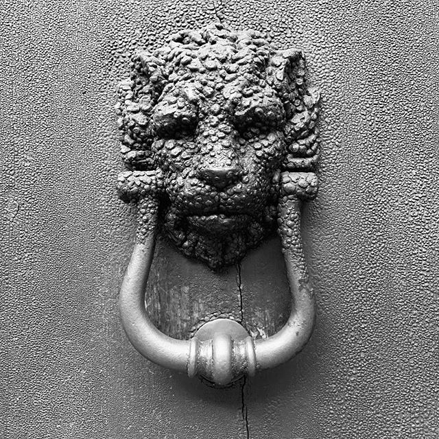 Un leone particolare ~ Foto © Antonio Dini