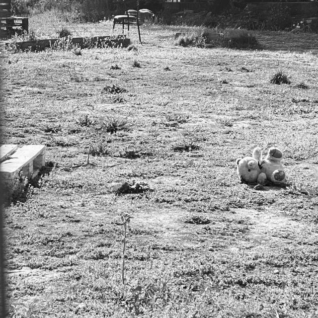 Buona Pasqua ~ Foto © Antonio Dini